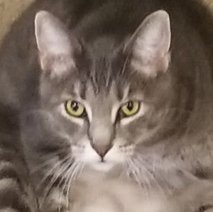 Meet your Posher, Jillian